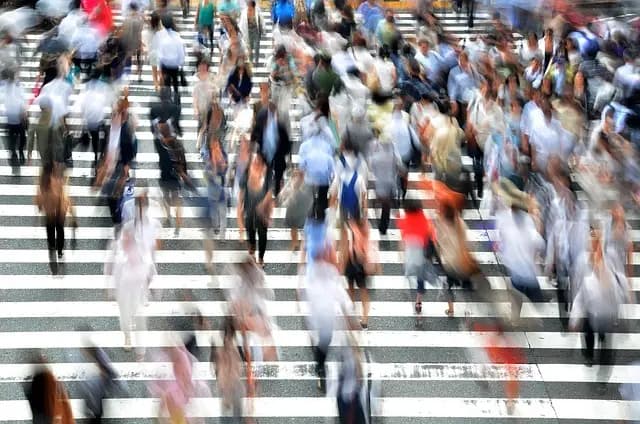 Comment faire des économies sur le Black Friday : Guide pratique