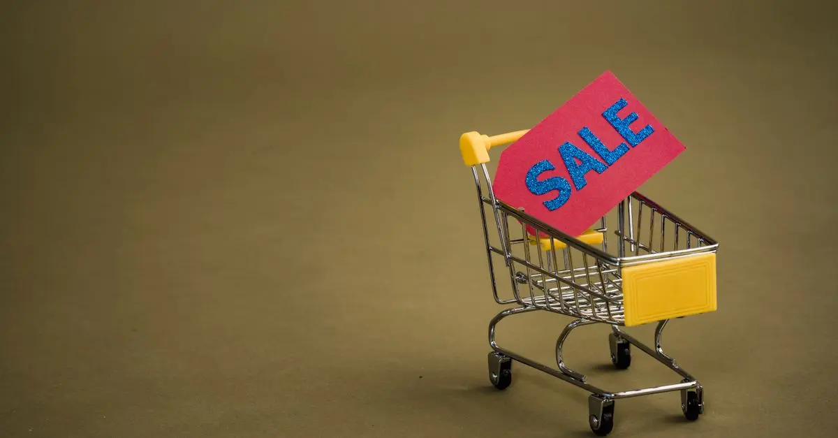 Les meilleures stratégies pour acheter des articles en promotion